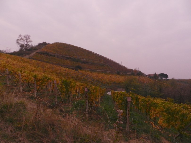 View just above Canelli