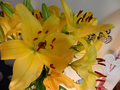 Yellow Lilies