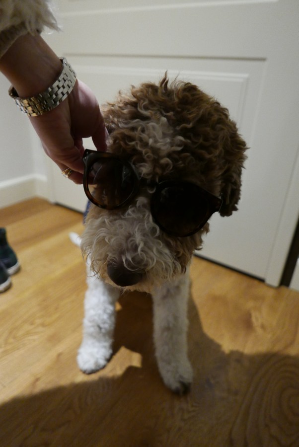 fidel-with-sunglasses